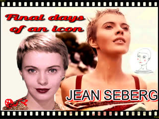 final days of an icon: jean seberg (2006)