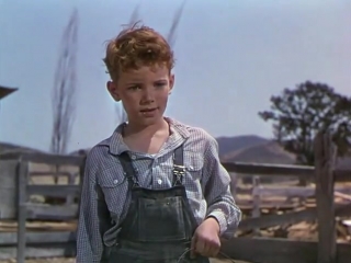 the red pony (1949)