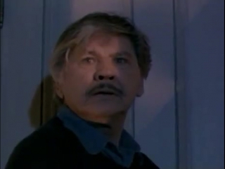 death wish v: the face of death (1994) death wish 5: the face of death  dir. allan a. goldstein