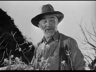 the treasure of the sierra madre (1948)